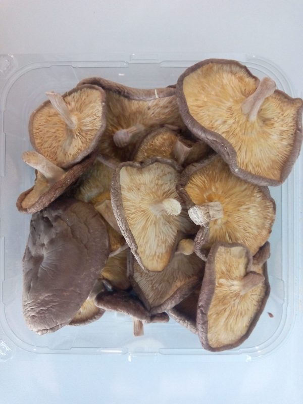 Shiitake Desidratado